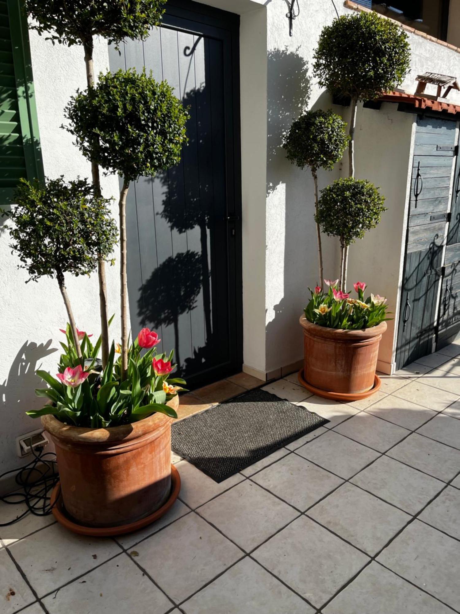 Skylark Bed & Breakfast Γκρας Εξωτερικό φωτογραφία
