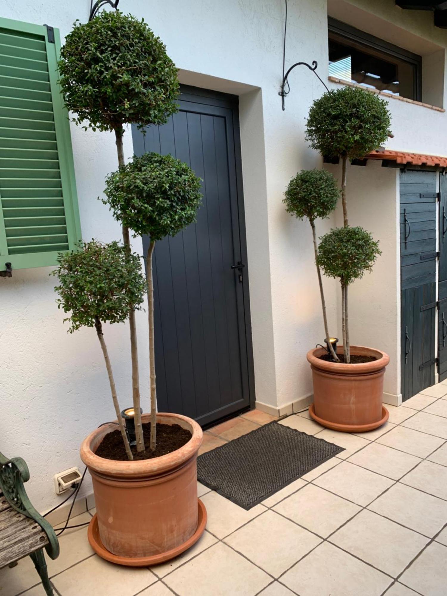 Skylark Bed & Breakfast Γκρας Εξωτερικό φωτογραφία