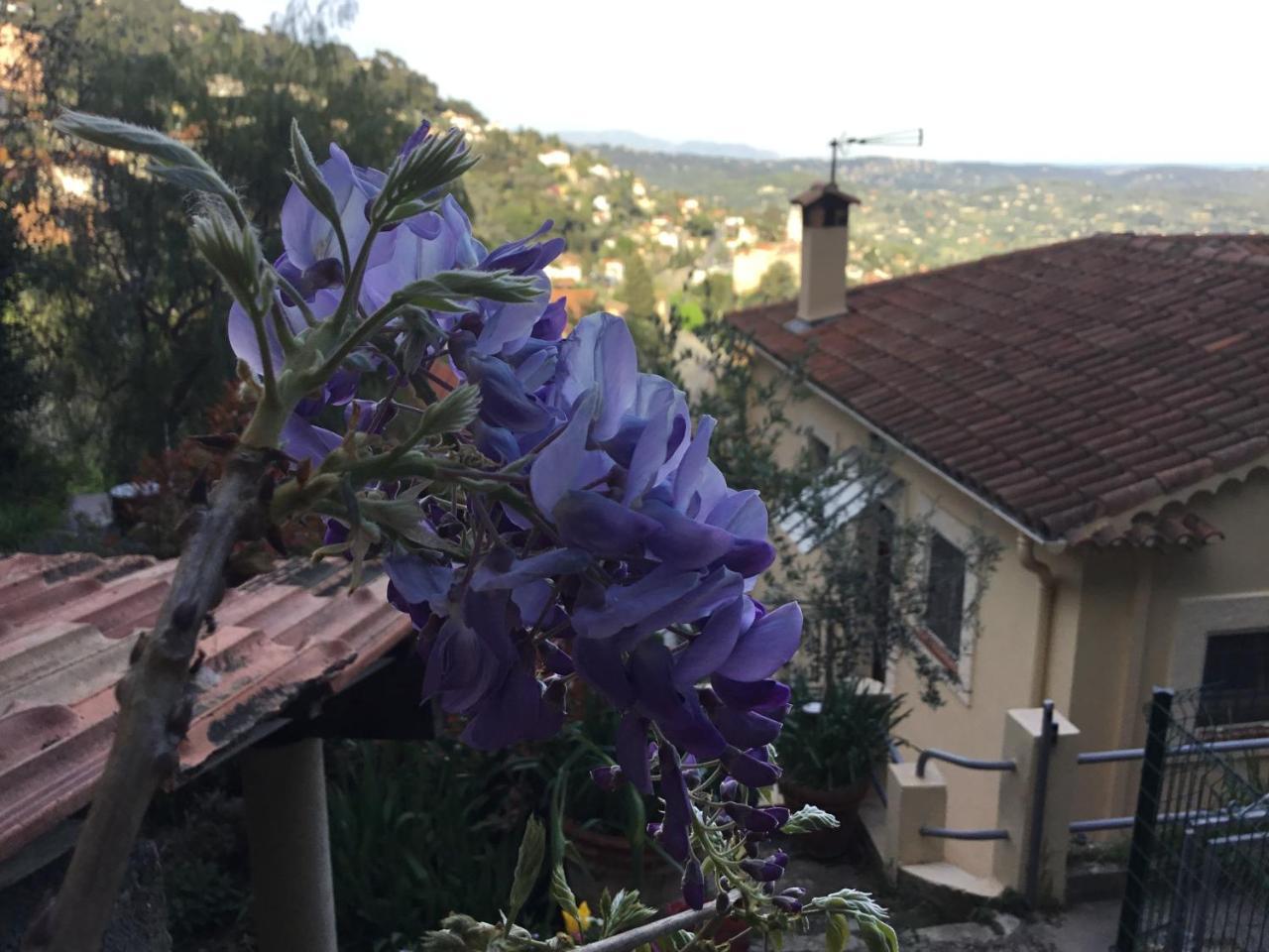Skylark Bed & Breakfast Γκρας Εξωτερικό φωτογραφία