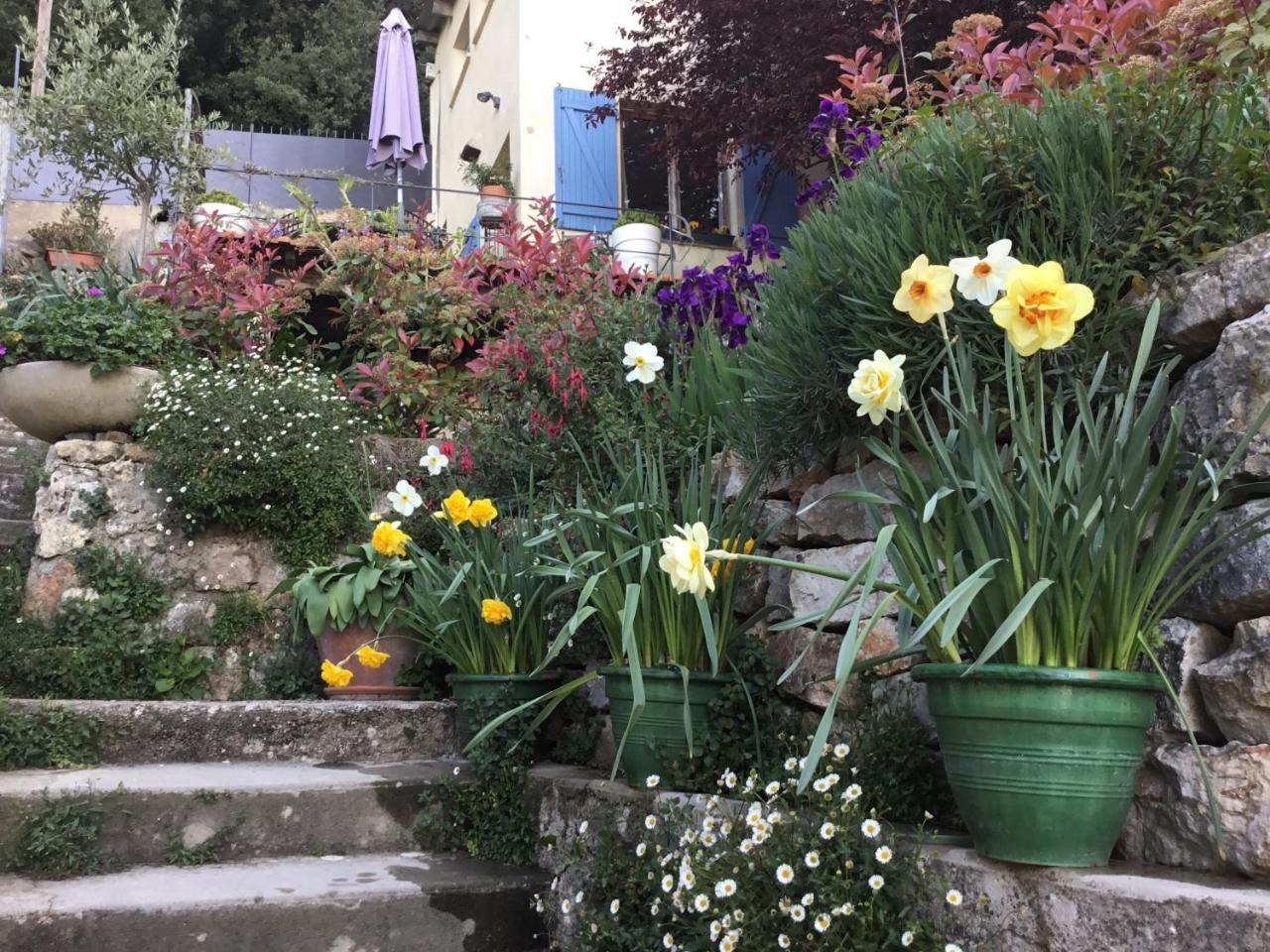 Skylark Bed & Breakfast Γκρας Εξωτερικό φωτογραφία