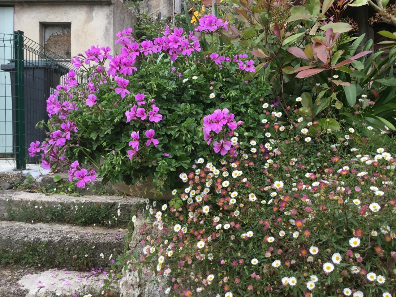Skylark Bed & Breakfast Γκρας Εξωτερικό φωτογραφία